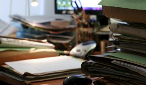 fot. Magda Mroczek-Stachowiak