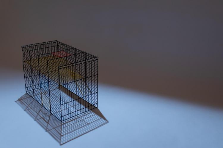 fot papp werewka gazeta sądowa