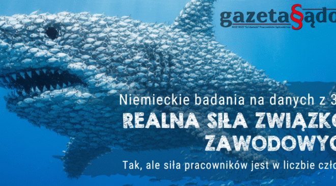 Dlaczego niektóre grupy zawodowe osiągają więcej? Wyniki nowych badań